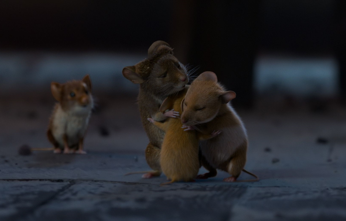 Myši v akci: Vánoční past