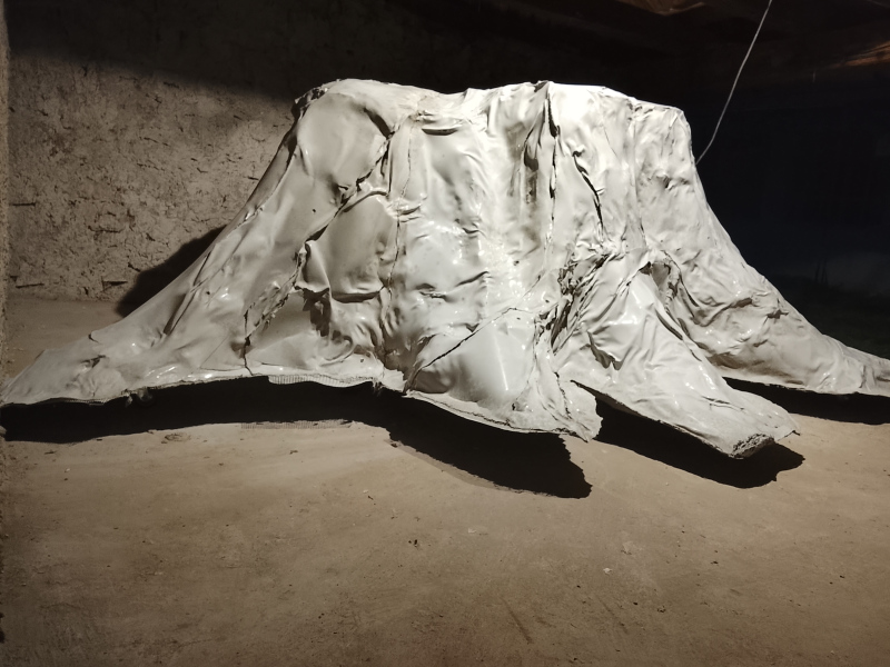 MAREK HALÁSZ — Petrifikácia