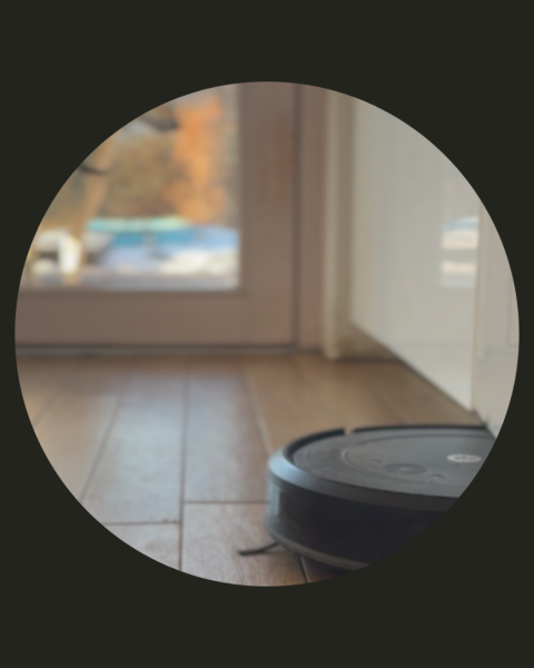 JANA ZHOŘOVÁ — I Was One Thing, Now I Am Being Another  